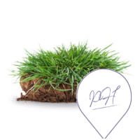 lp_turf